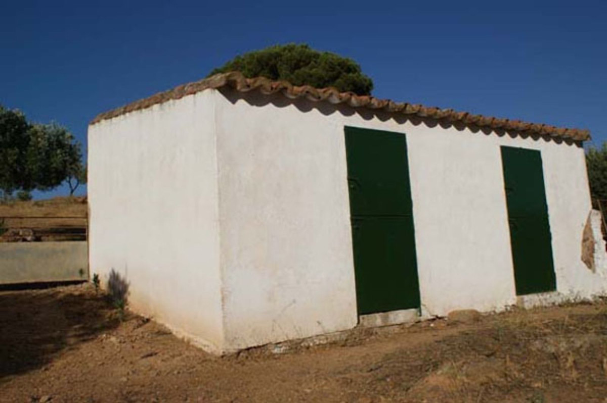 Maison de campagne à vendre à Guardamar and surroundings 14