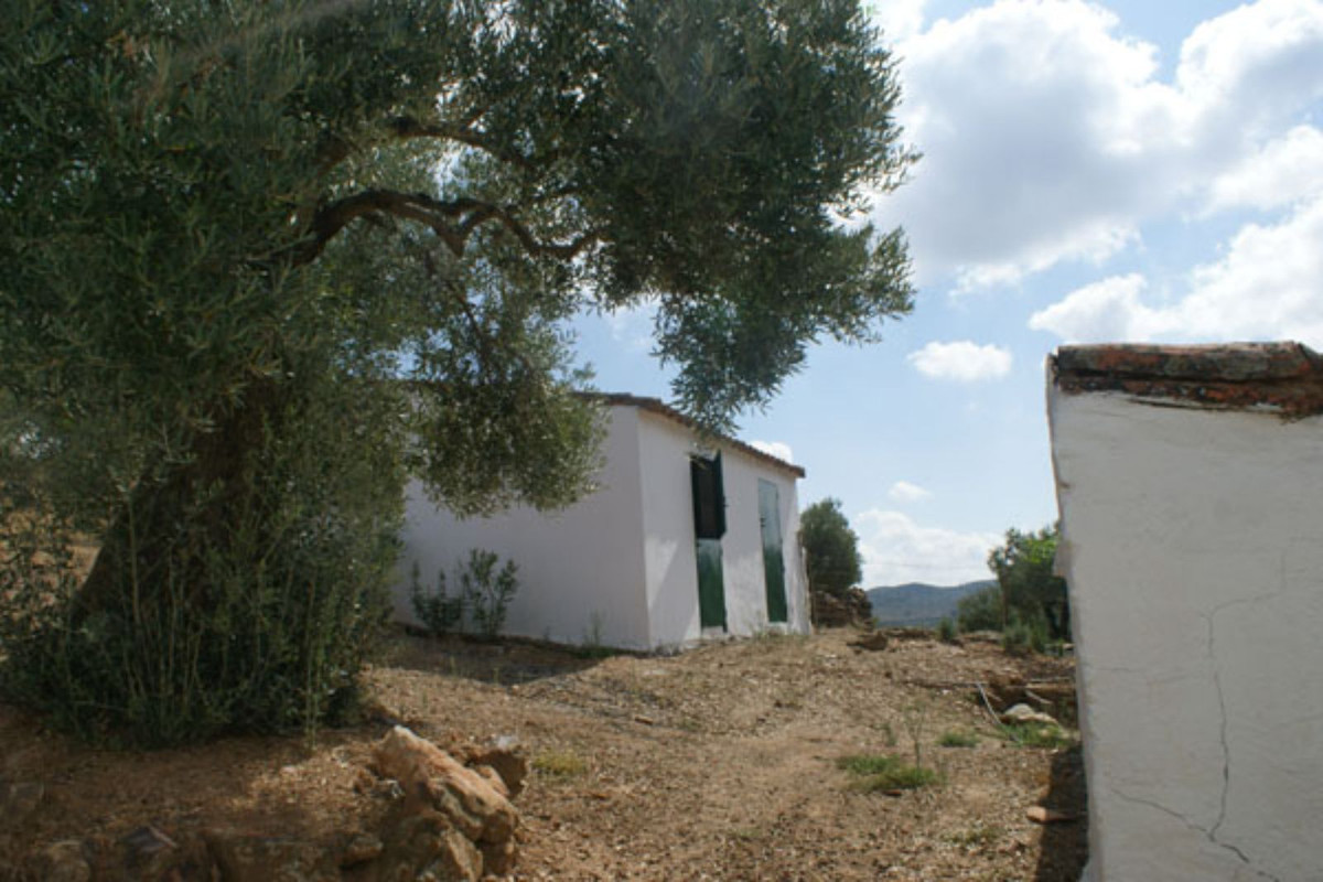 Maison de campagne à vendre à Guardamar and surroundings 16