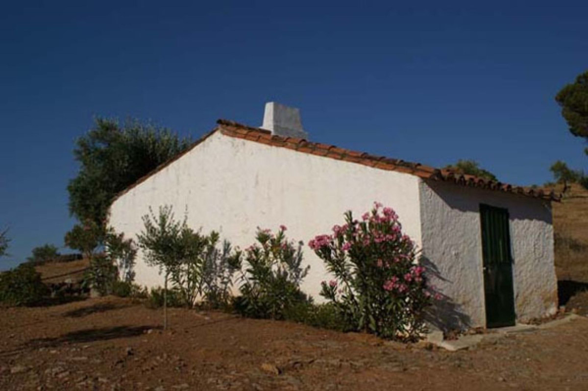 Countryhome for sale in Guardamar and surroundings 17