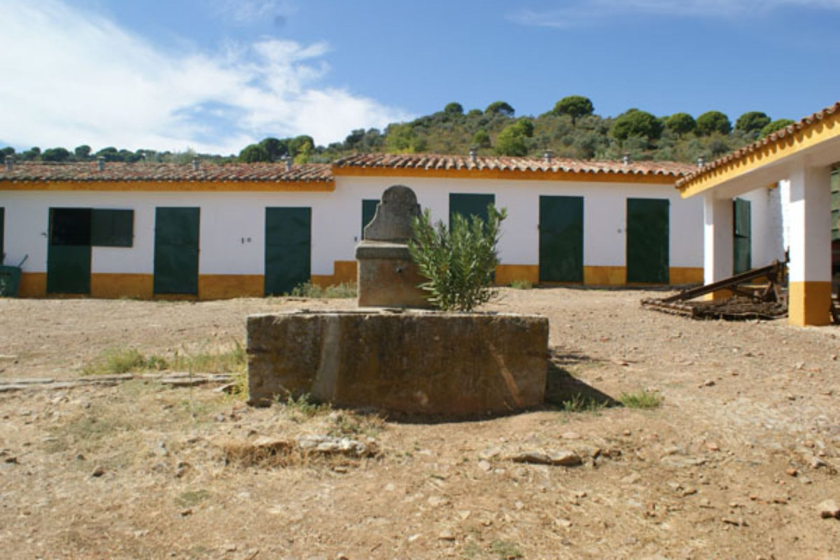 Casas de Campo en venta en Guardamar and surroundings 18