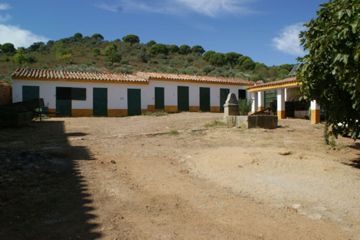 Casas de Campo en venta en Guardamar and surroundings 19