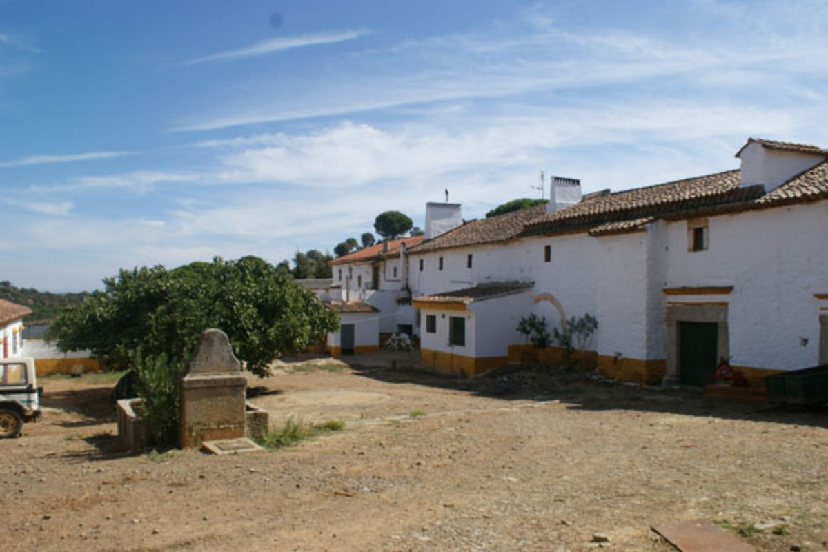 Maison de campagne à vendre à Guardamar and surroundings 21