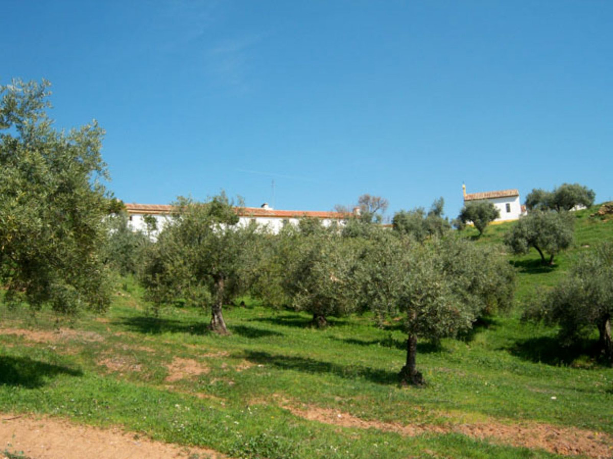 Загородный дом для продажи в Guardamar and surroundings 22