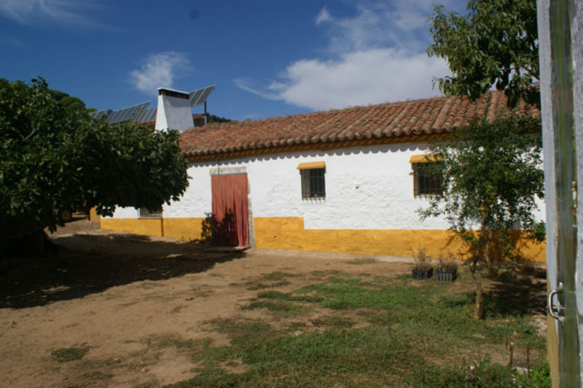 Загородный дом для продажи в Guardamar and surroundings 27