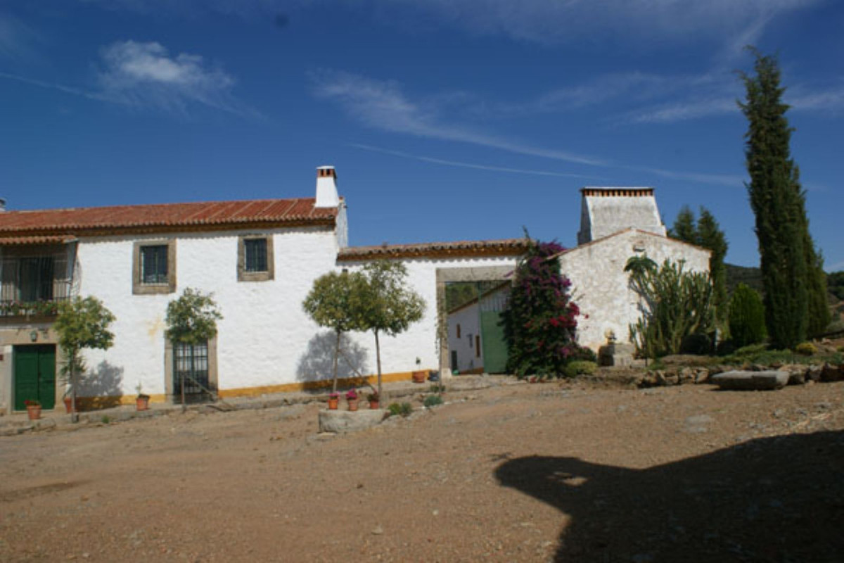 Countryhome for sale in Guardamar and surroundings 28