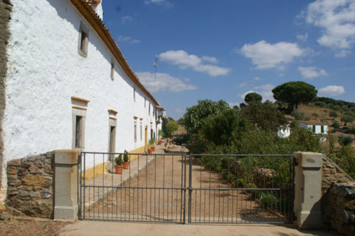 Countryhome for sale in Guardamar and surroundings 3