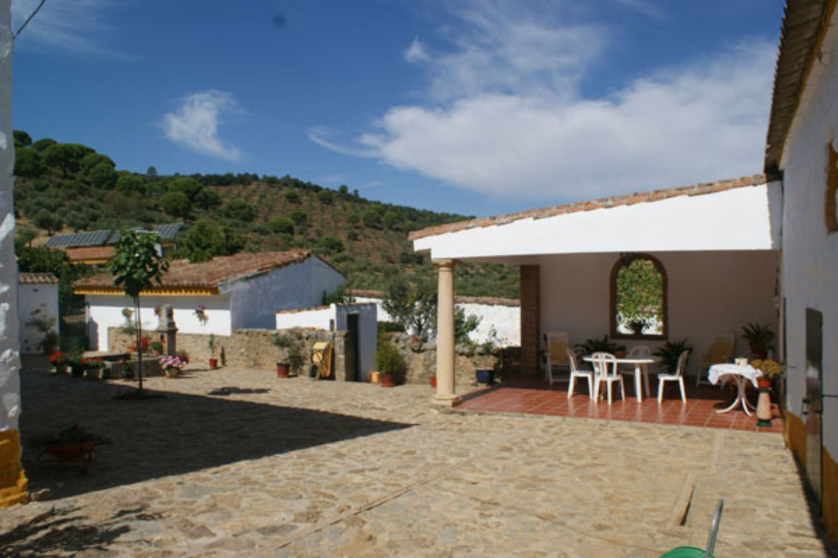 Maison de campagne à vendre à Guardamar and surroundings 32