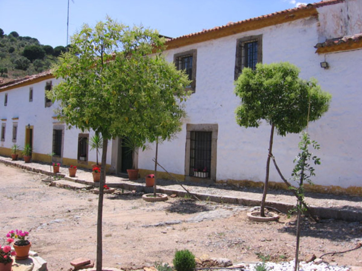 Загородный дом для продажи в Guardamar and surroundings 35