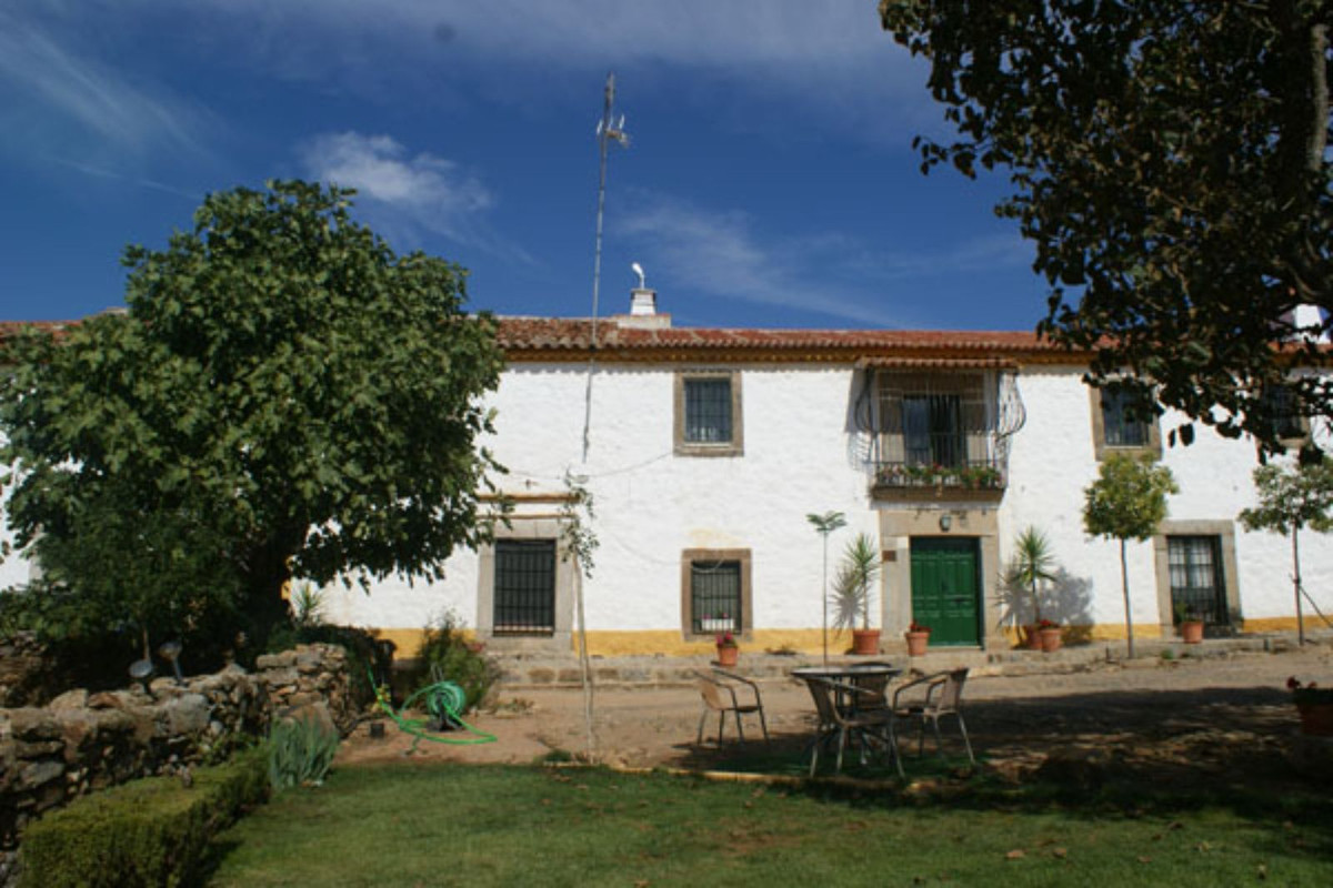 Casas de Campo en venta en Guardamar and surroundings 36