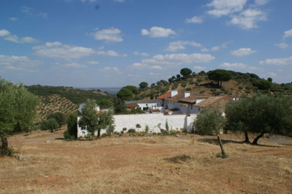 Maison de campagne à vendre à Guardamar and surroundings 37