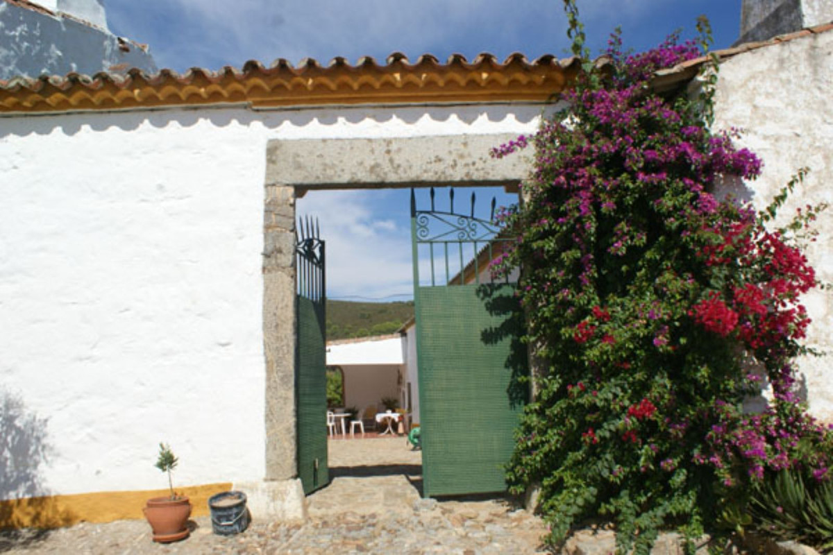 Casas de Campo en venta en Guardamar and surroundings 38