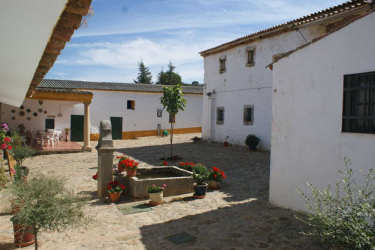 Landhaus zum Verkauf in Guardamar and surroundings 39