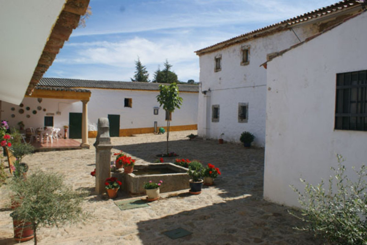 Maison de campagne à vendre à Guardamar and surroundings 39