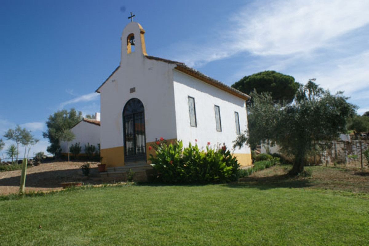 Maison de campagne à vendre à Guardamar and surroundings 4