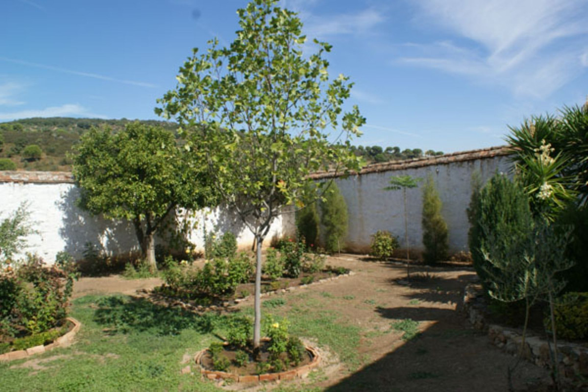 Casas de Campo en venta en Guardamar and surroundings 42