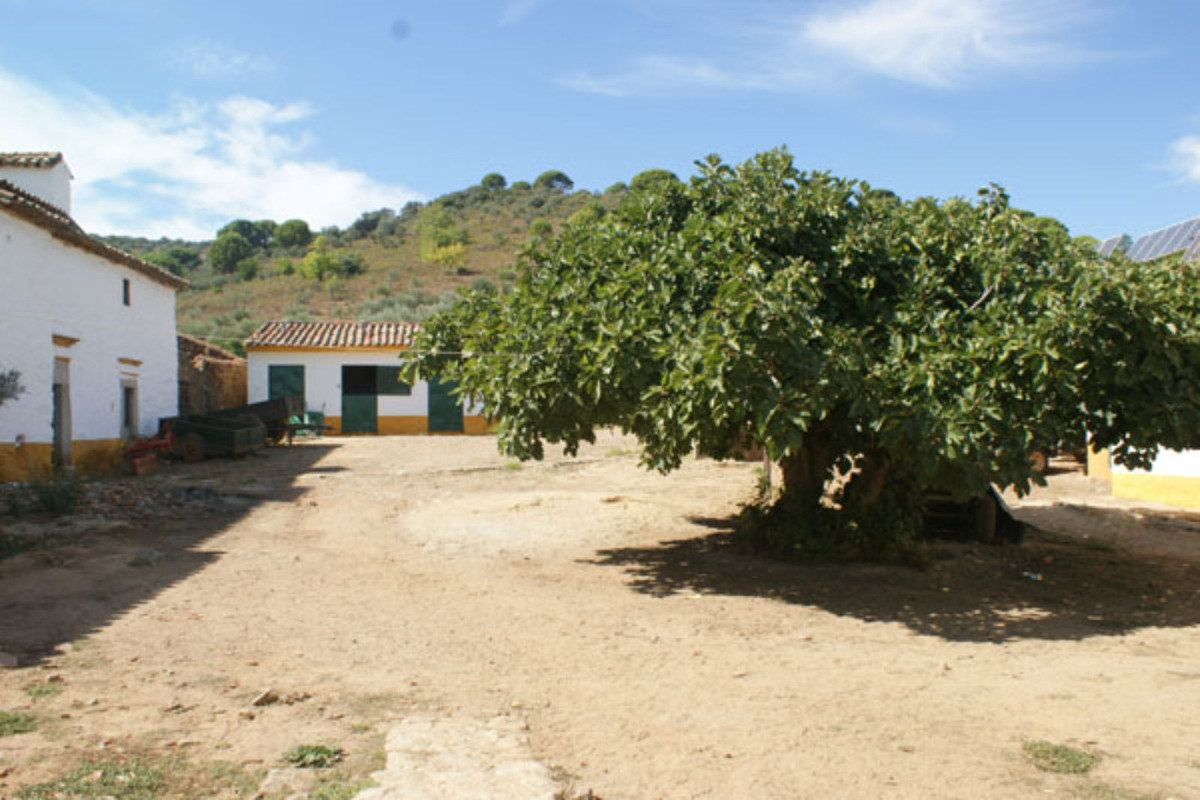 Casas de Campo en venta en Guardamar and surroundings 43