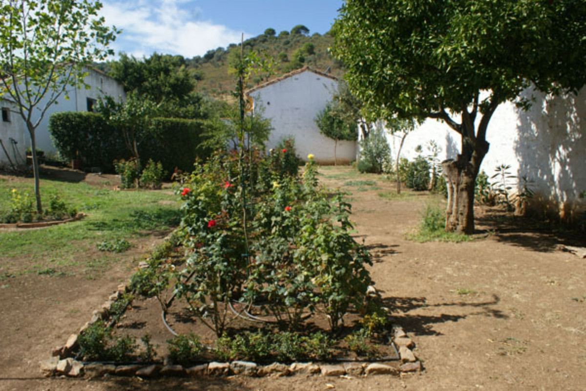 Maison de campagne à vendre à Guardamar and surroundings 45