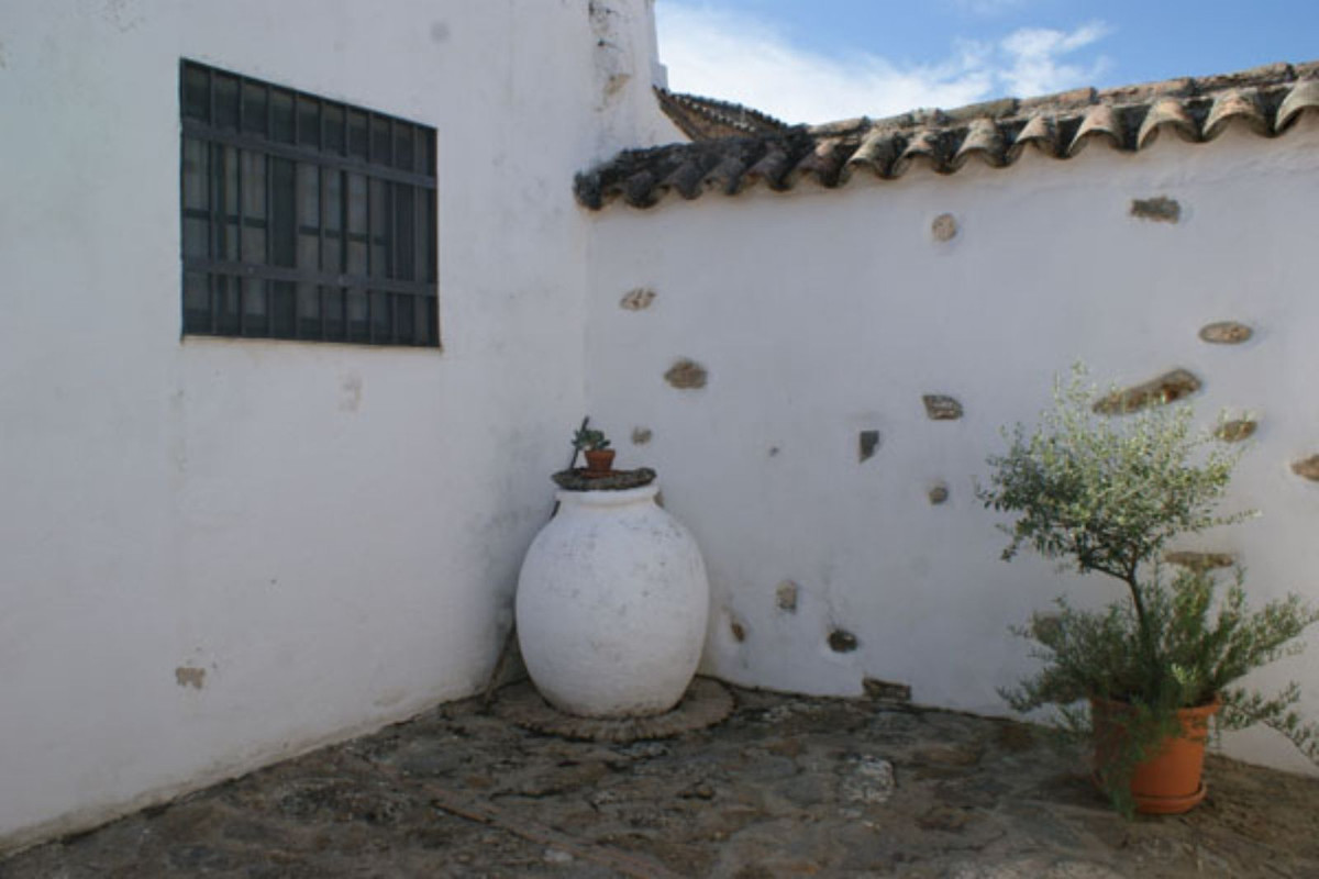 Casas de Campo en venta en Guardamar and surroundings 46
