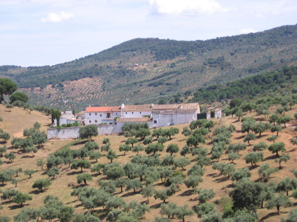 Maison de campagne à vendre à Guardamar and surroundings 49