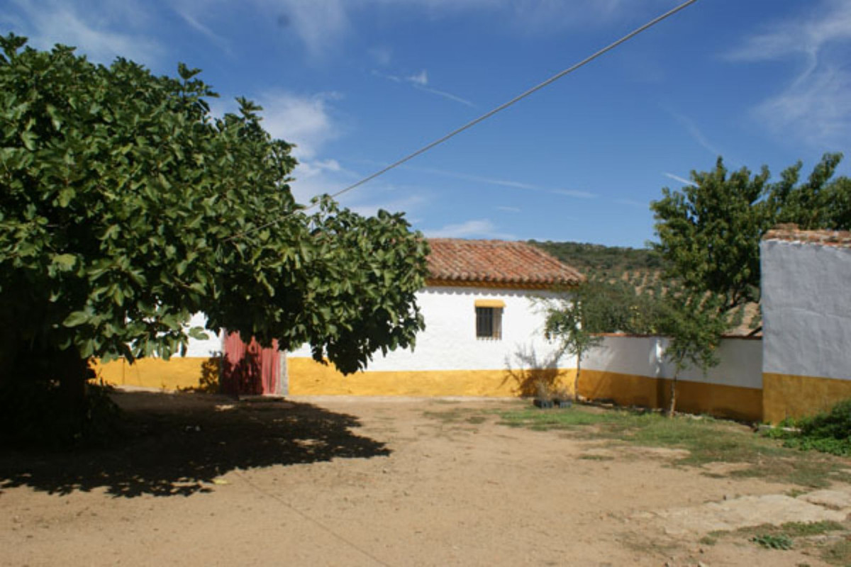 Countryhome te koop in Guardamar and surroundings 56