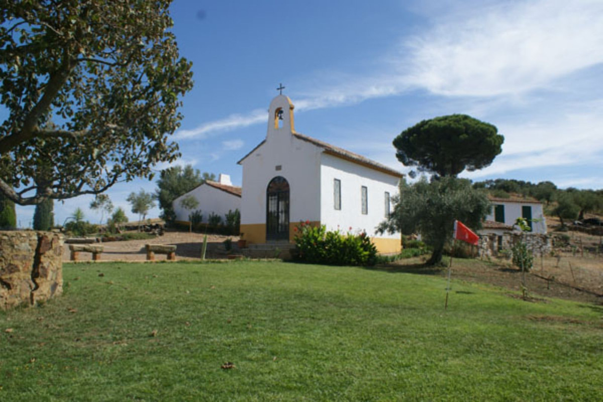 Maison de campagne à vendre à Guardamar and surroundings 7