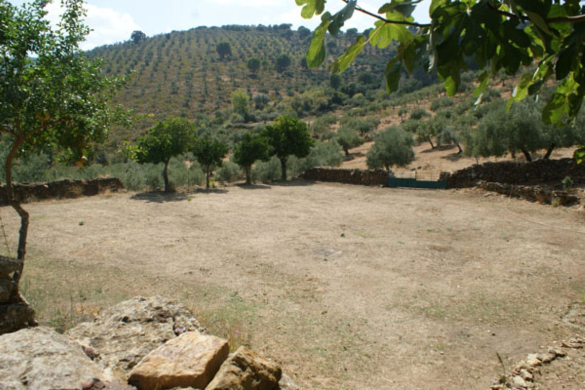 Landhaus zum Verkauf in Guardamar and surroundings 85