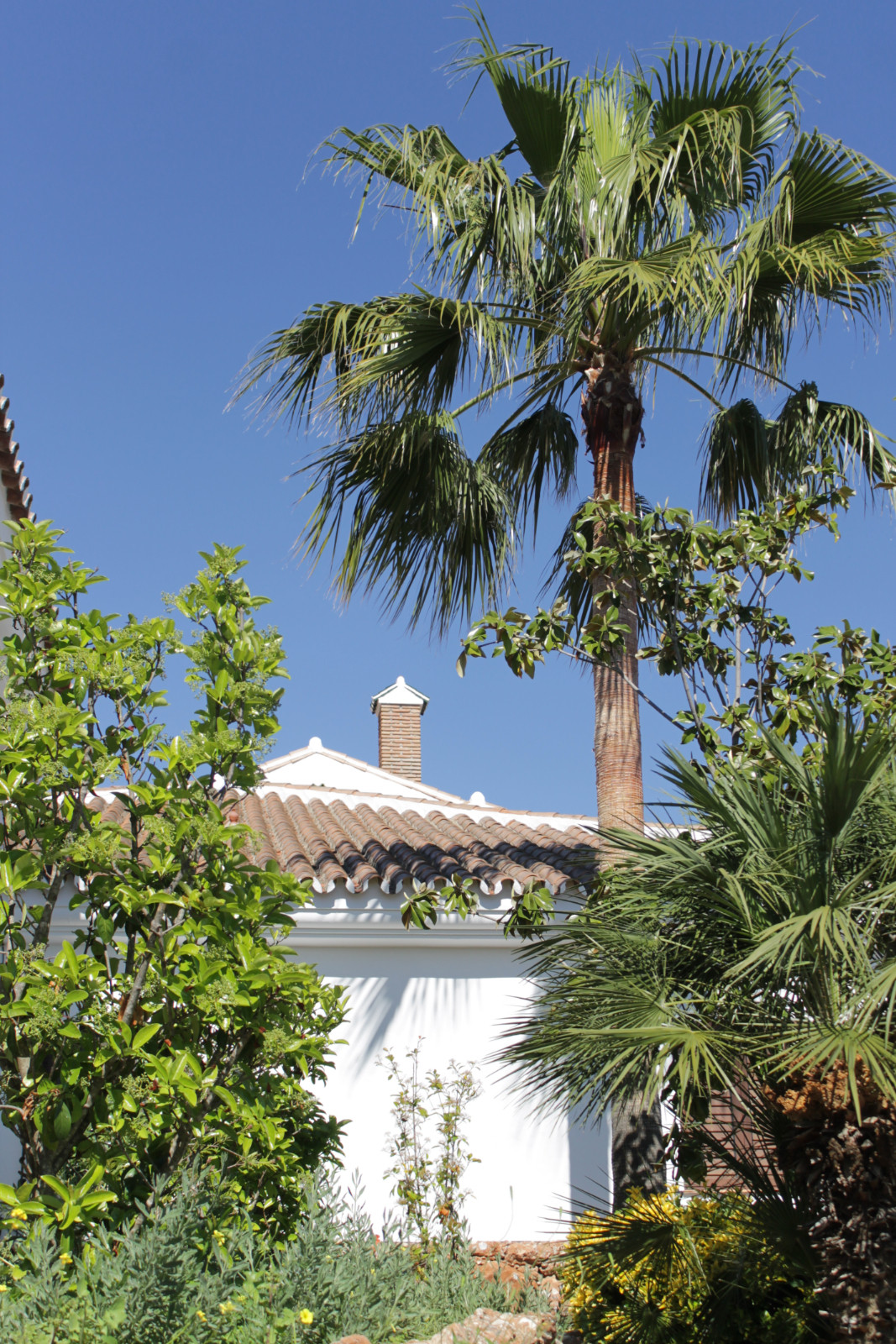 Villa te koop in Málaga 45