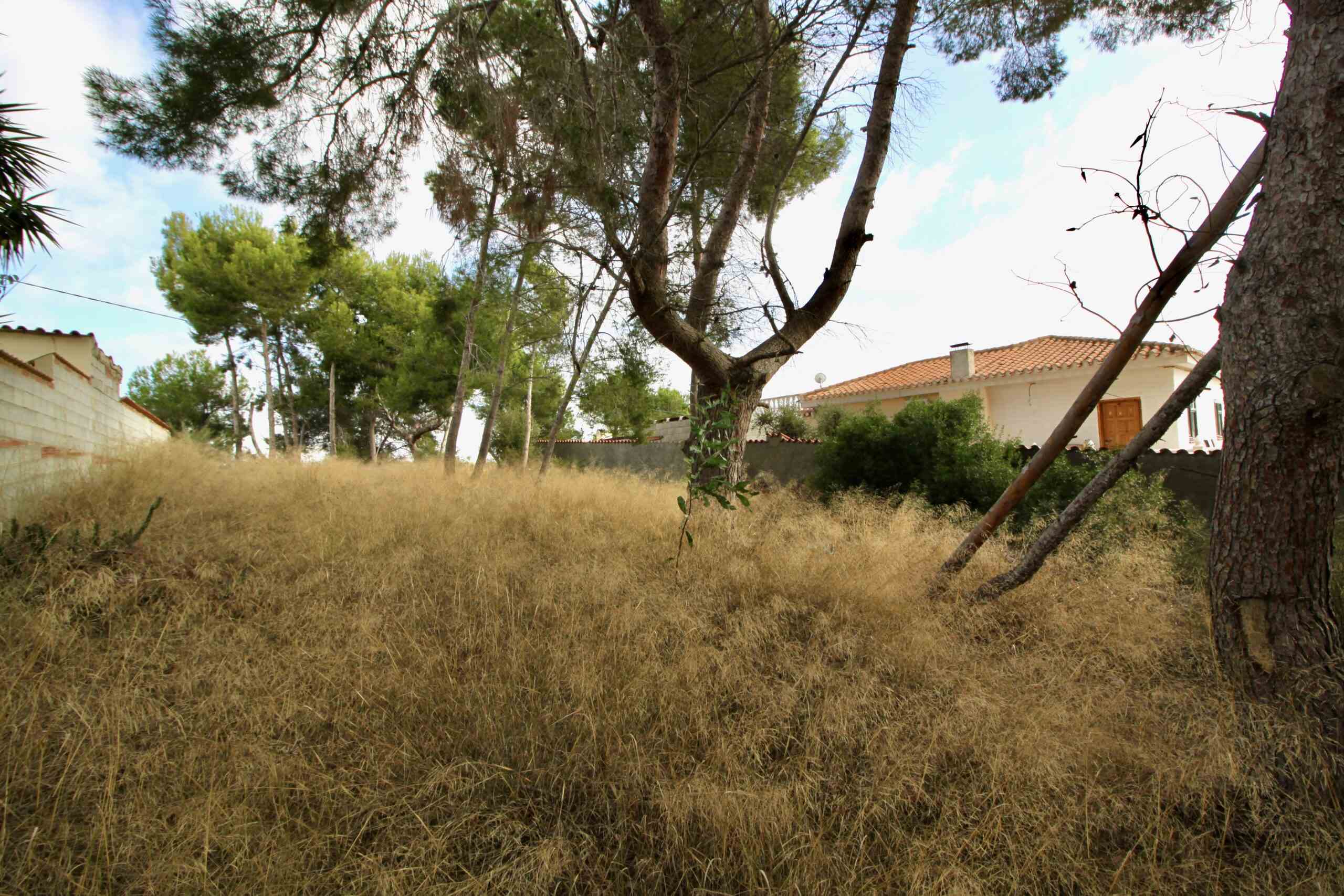 Plot for sale in Alicante 5