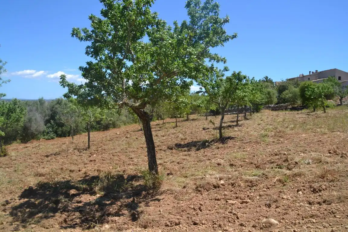 Haus zum Verkauf in Mallorca East 15