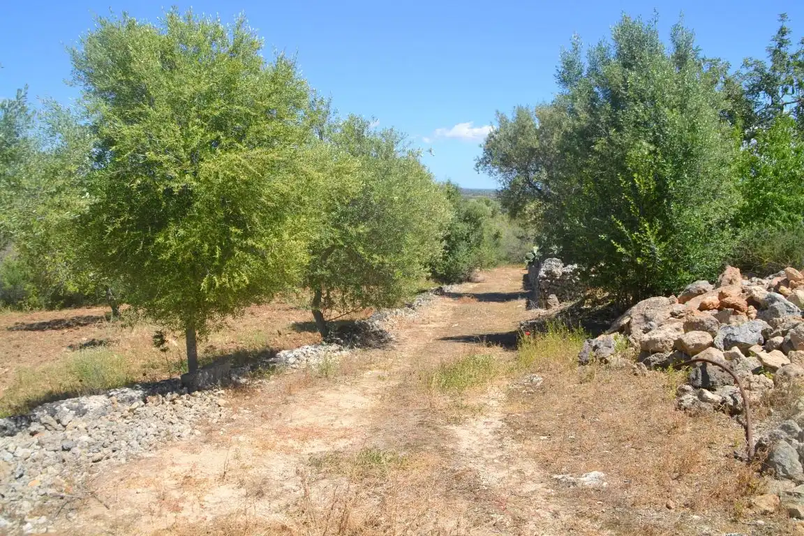 Haus zum Verkauf in Mallorca East 17