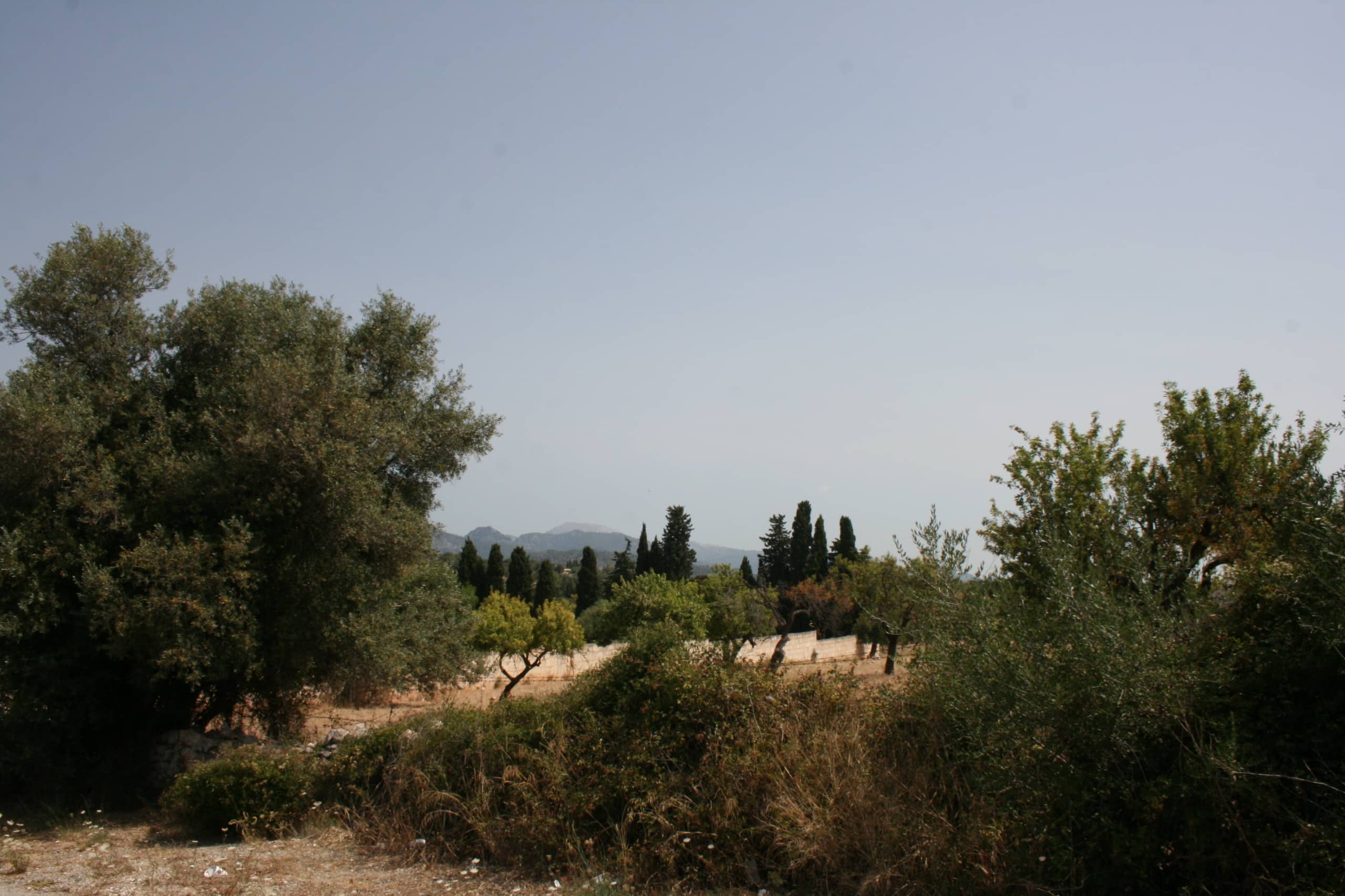 Plot for sale in Mallorca East 11