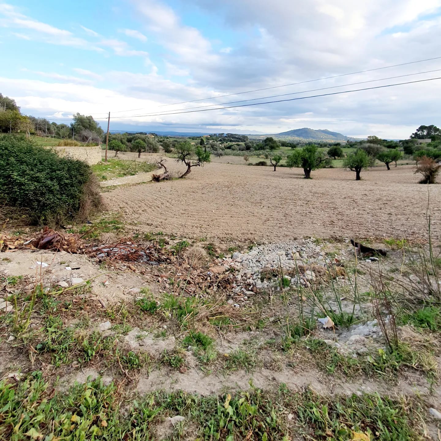 Plot for sale in Mallorca East 5