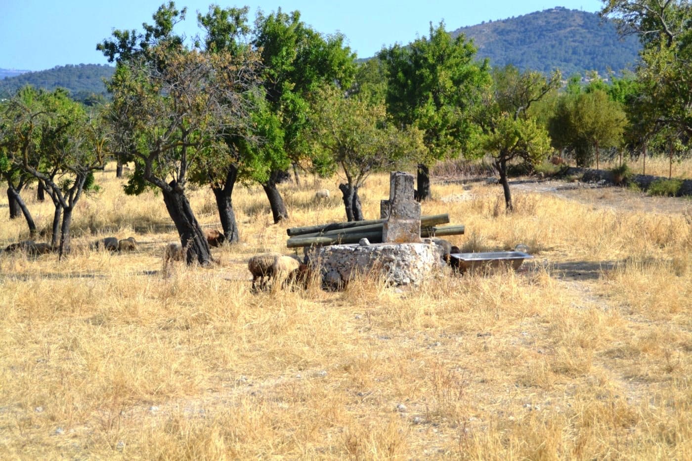 Haus zum Verkauf in Mallorca East 11