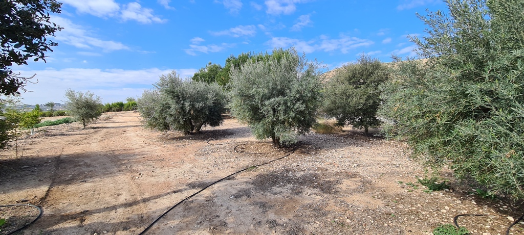 Chalé en venta en Alicante 43