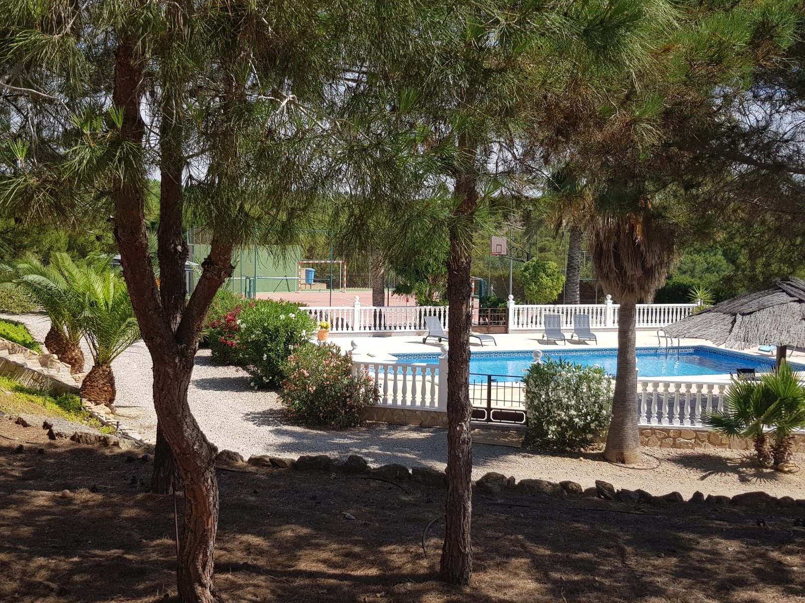 Countryhome for sale in Torrevieja and surroundings 4