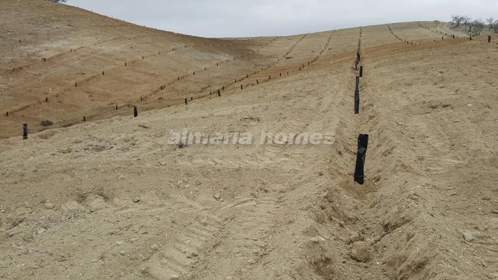 Plot for sale in Almería and surroundings 2