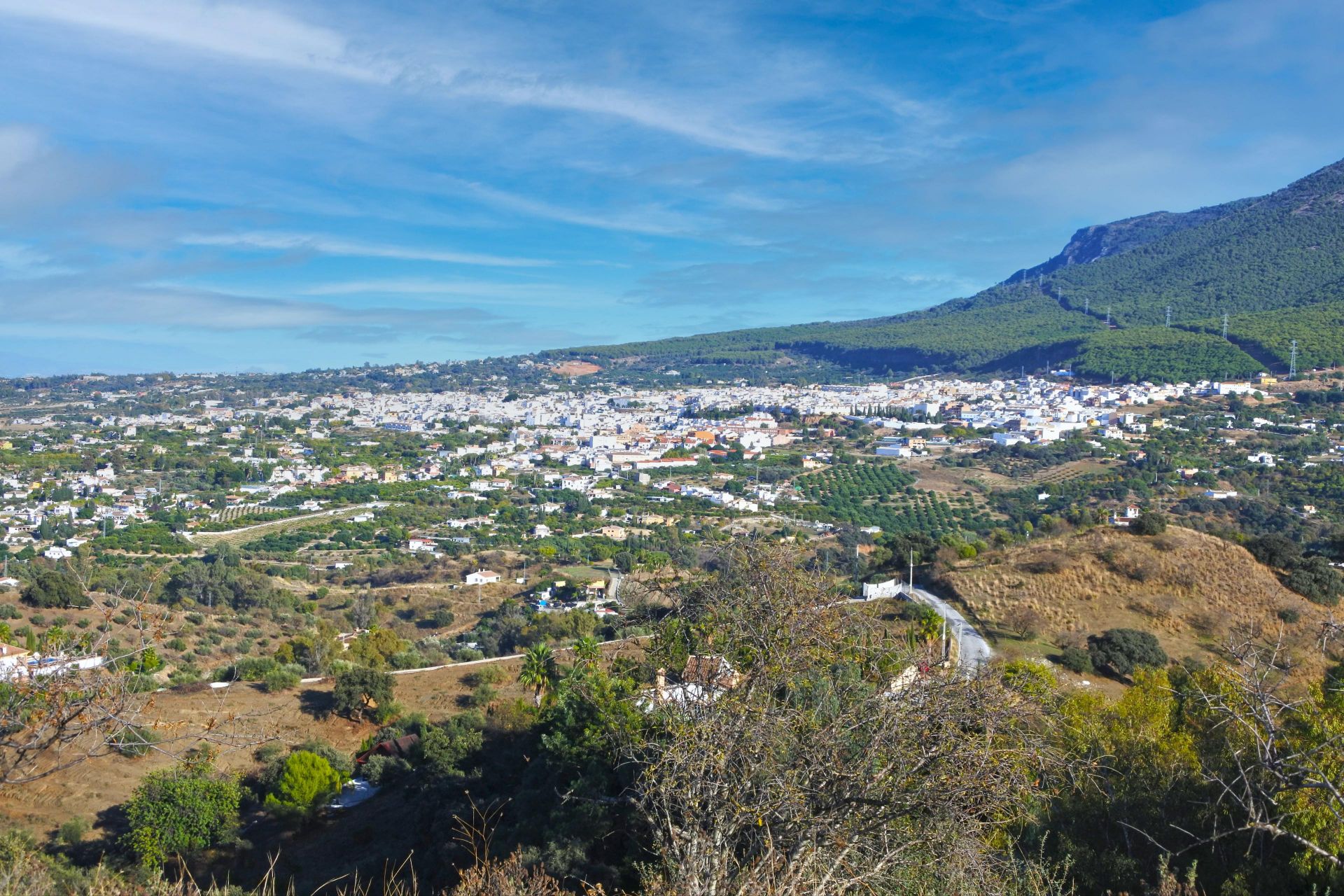 Plot à vendre à Alhaurín 3