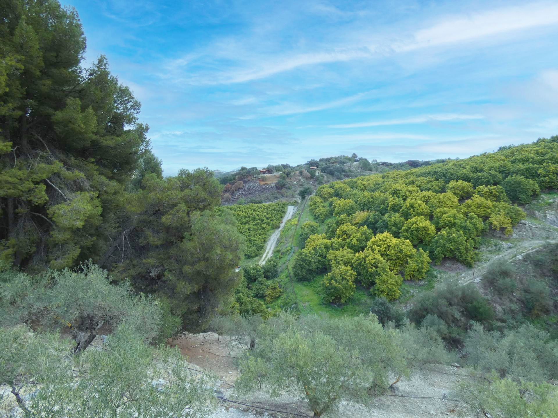 Maison de campagne à vendre à Málaga 23