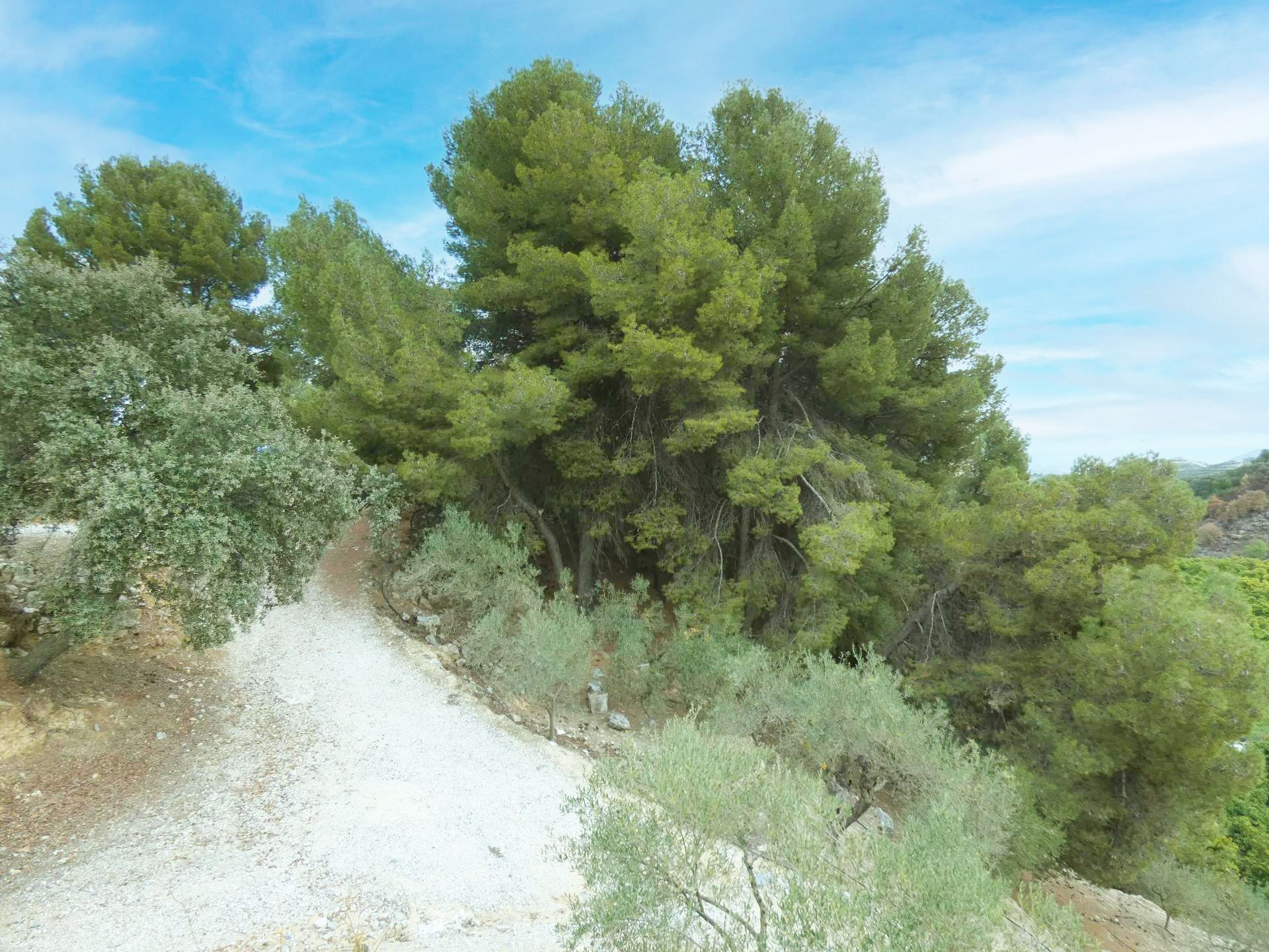 Maison de campagne à vendre à Málaga 24