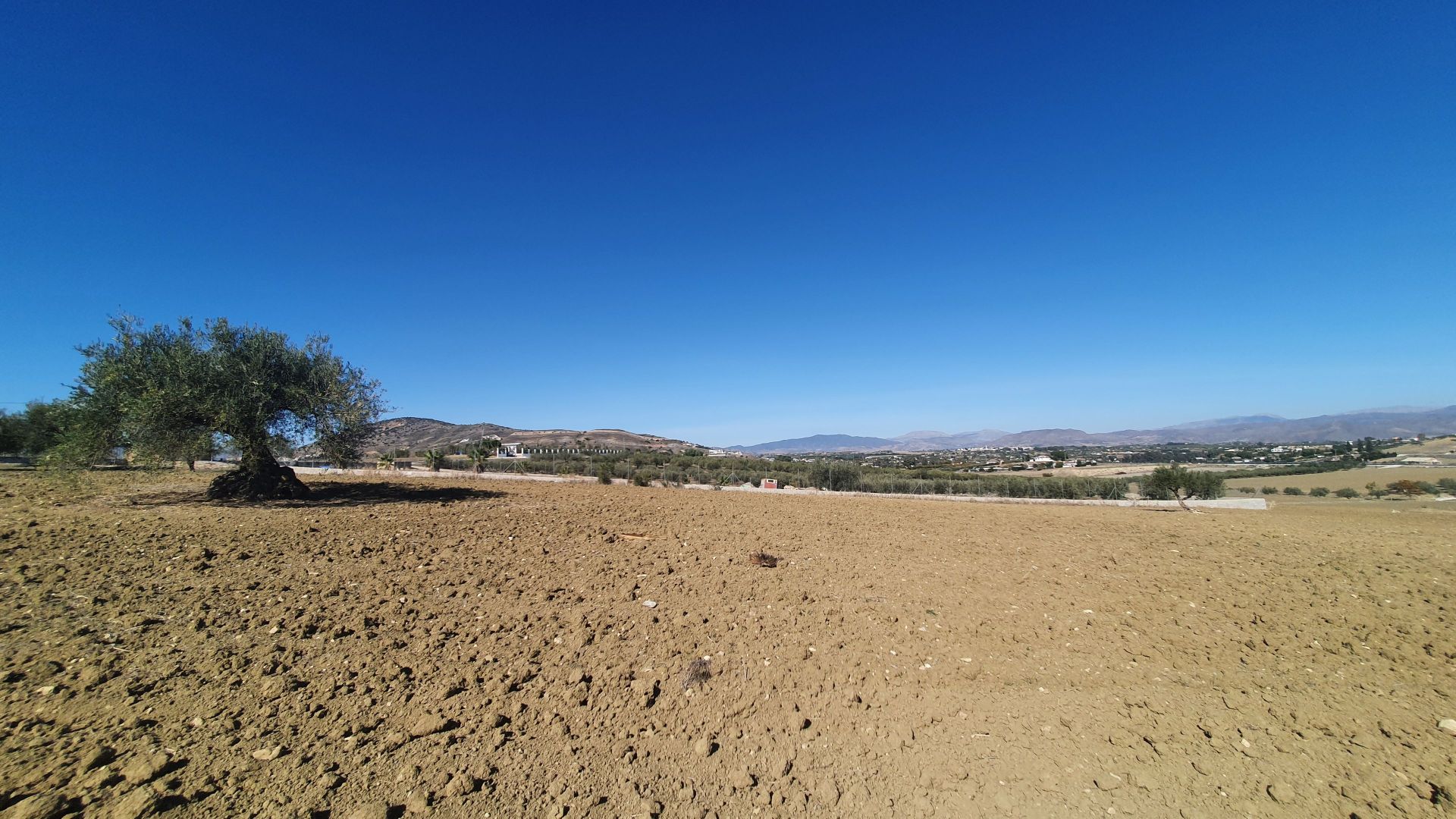 Plot for sale in Alhaurín 11