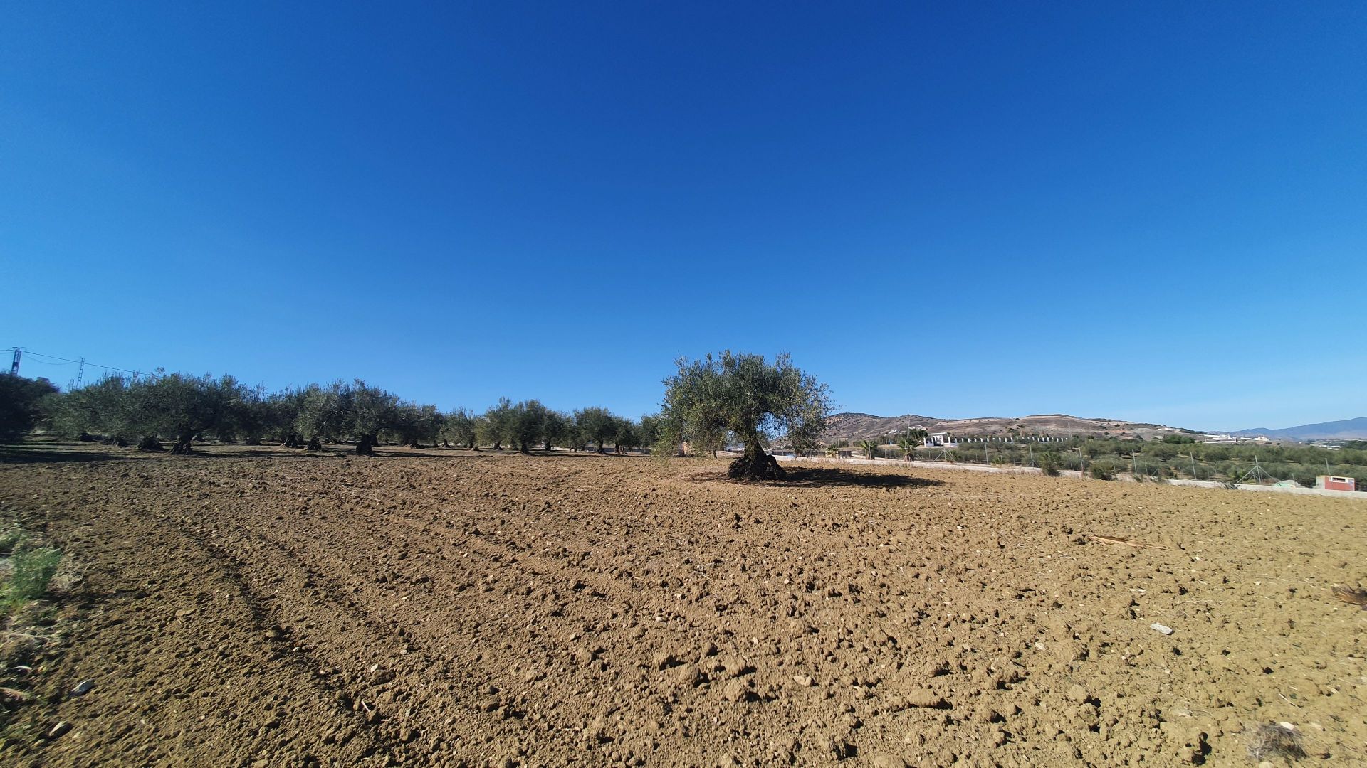 Plot à vendre à Alhaurín 3