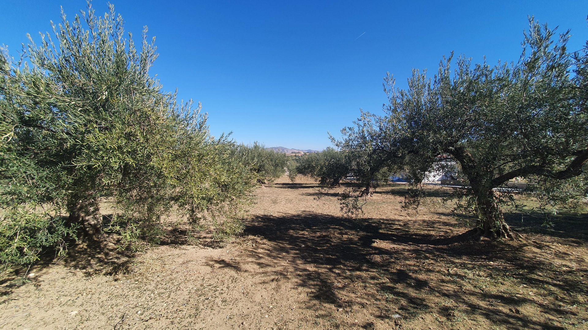 Plot à vendre à Alhaurín 5