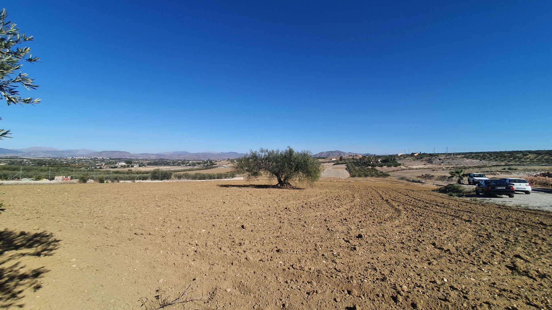 Plot à vendre à Alhaurín 6