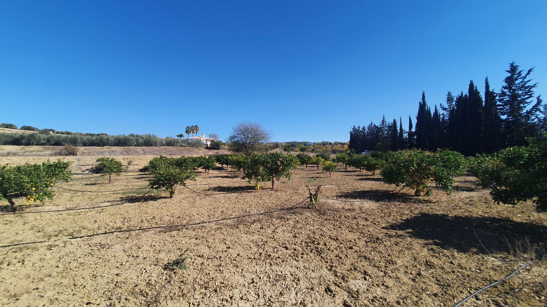 Plot à vendre à Alhaurín 10