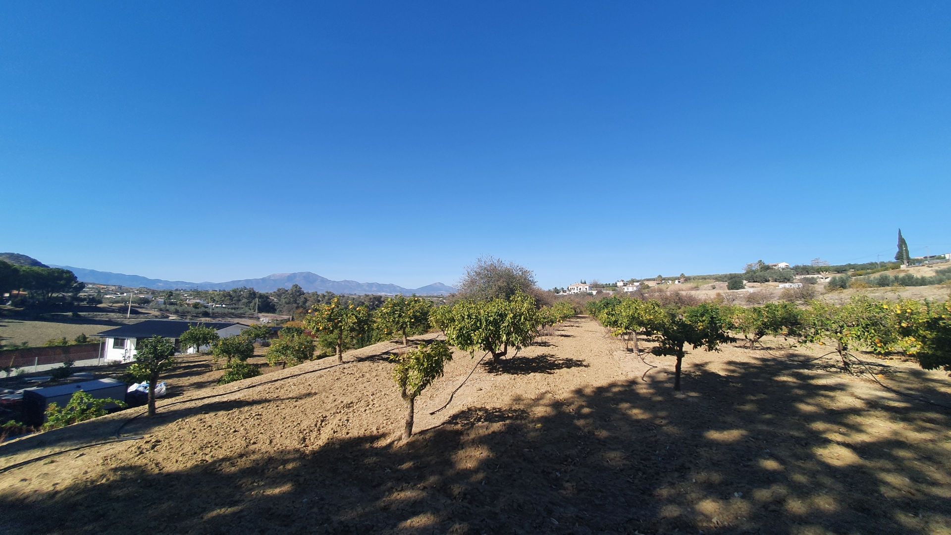 Plot for sale in Alhaurín 13