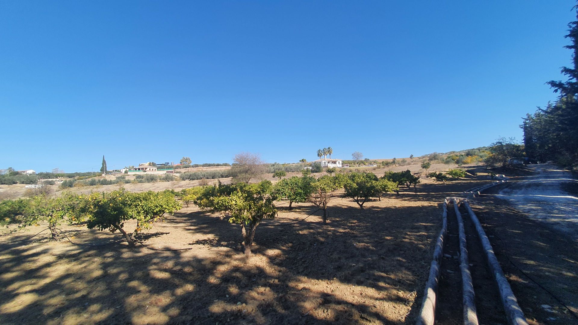 Plot en venta en Alhaurín 2