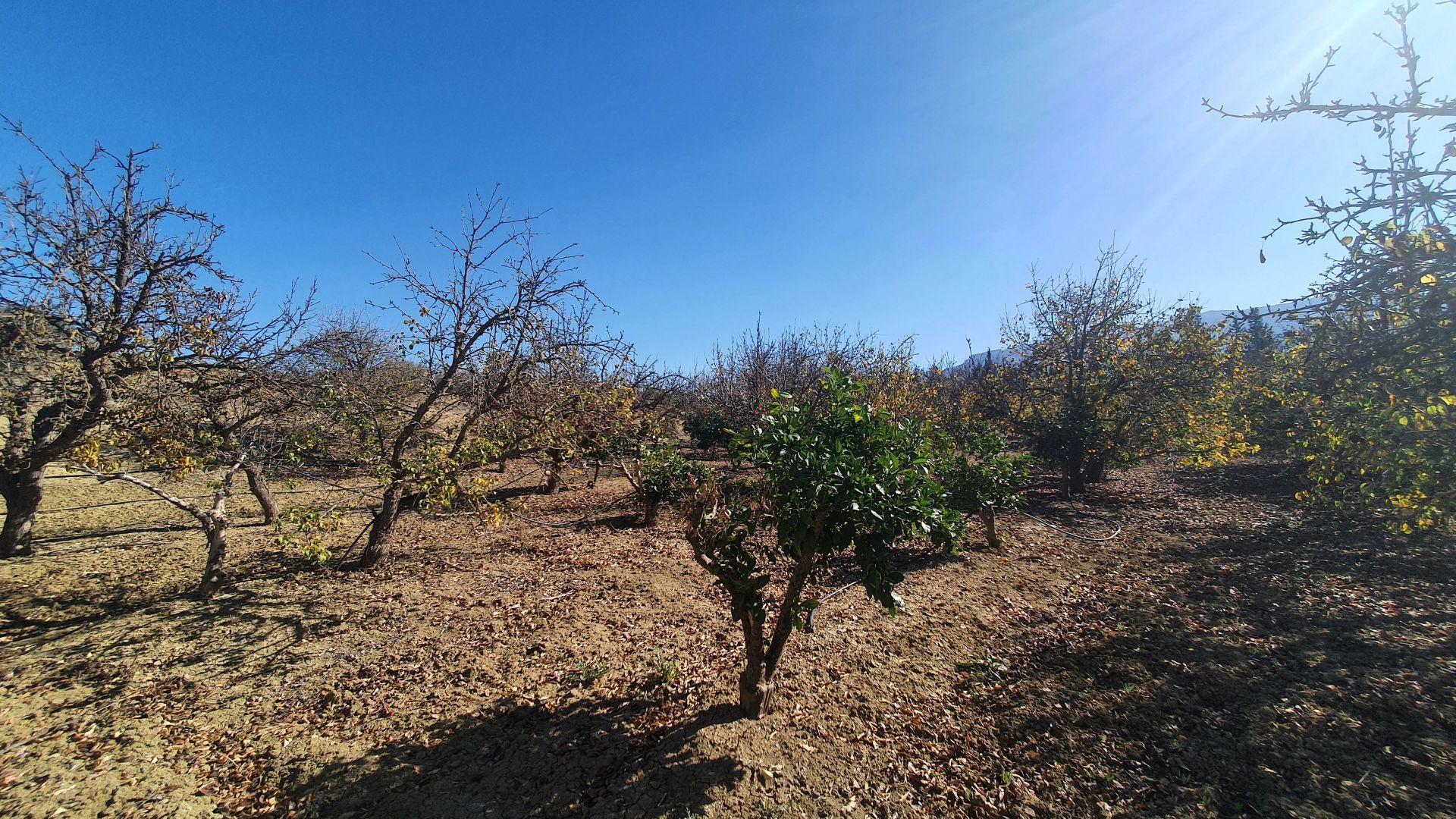 Plot à vendre à Alhaurín 6