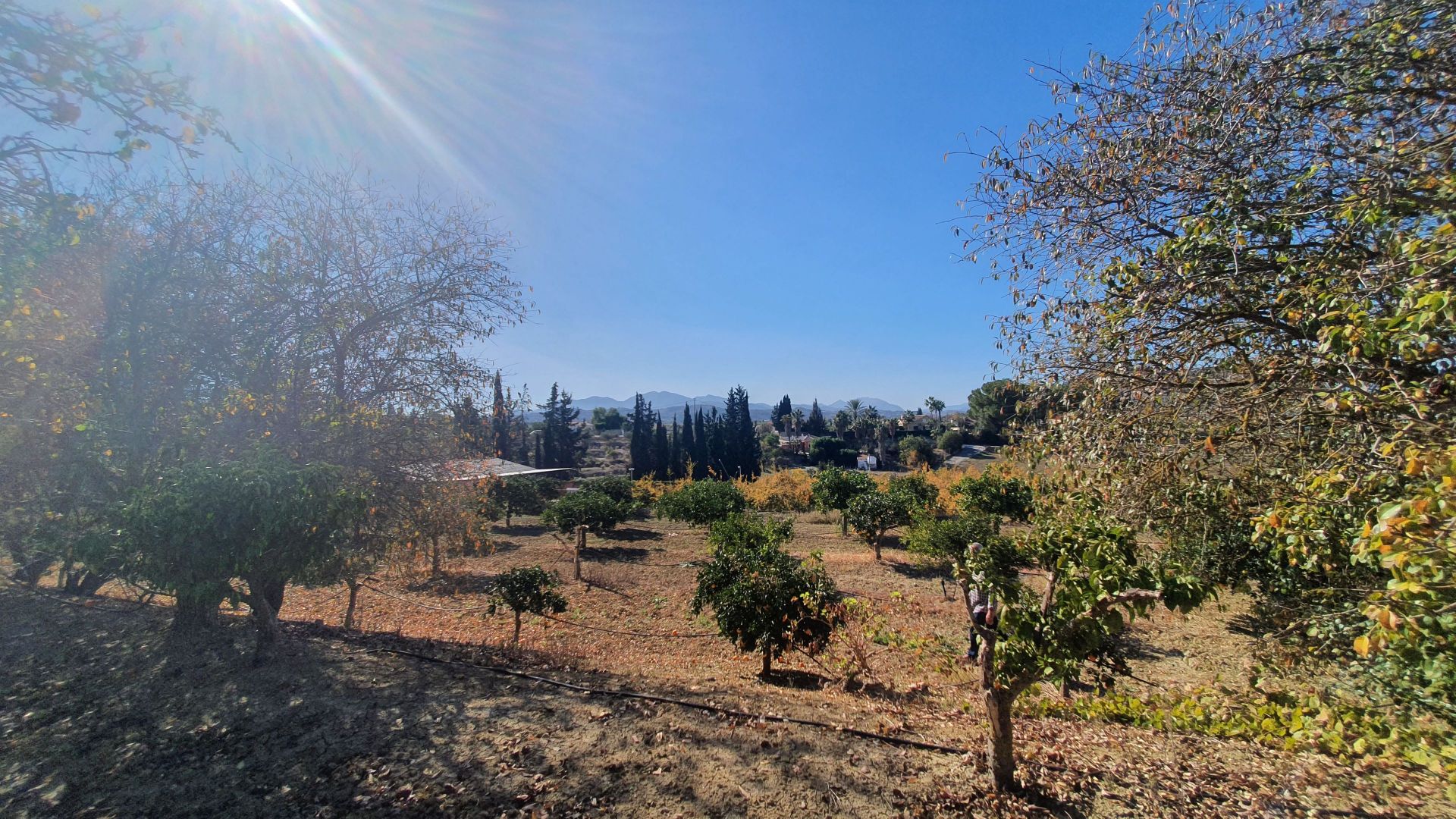 Plot for sale in Alhaurín 8