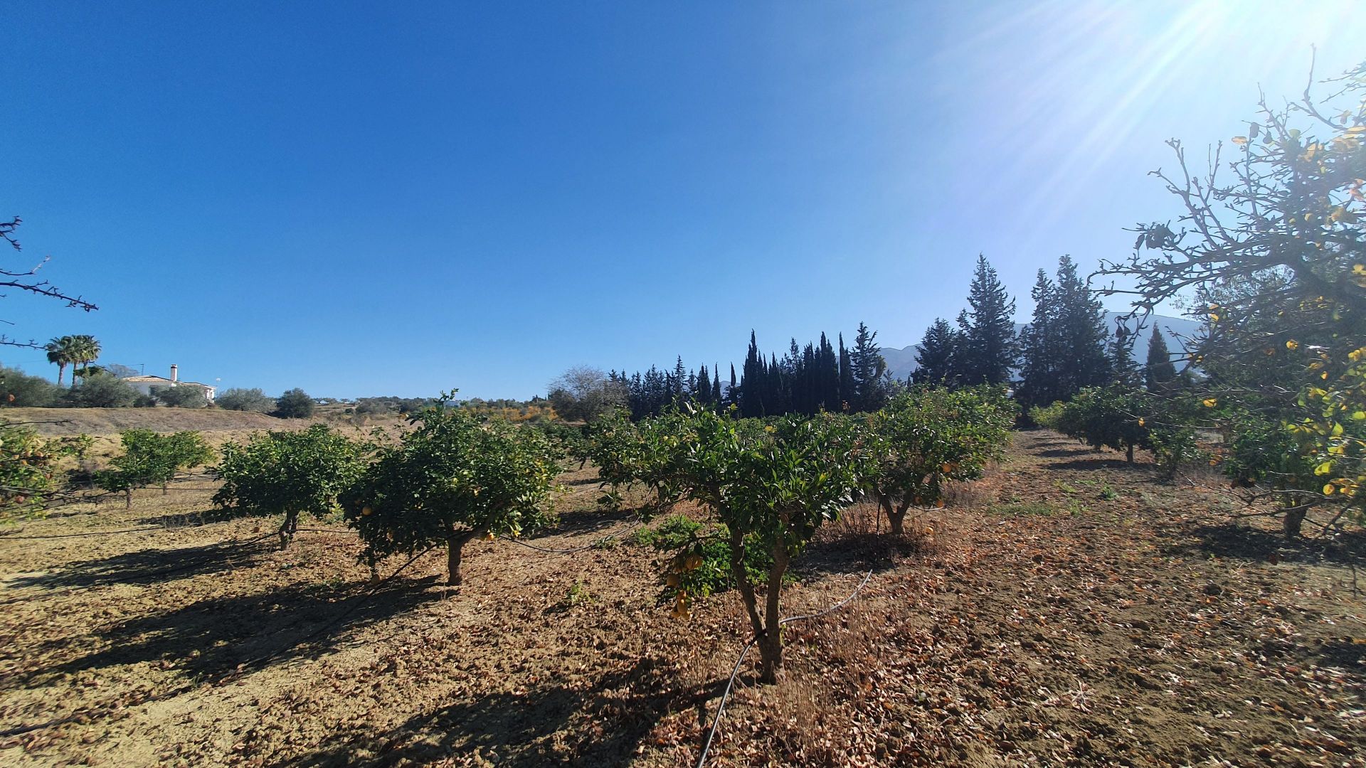 Plot à vendre à Alhaurín 9