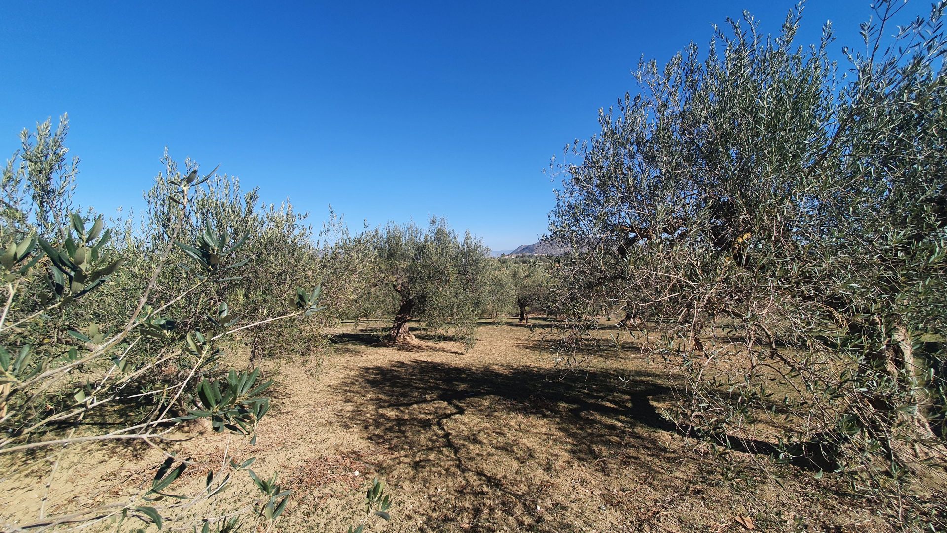 Plot à vendre à Alhaurín 1